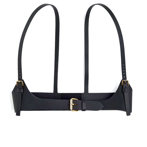 Harness - Picture 1 of 2